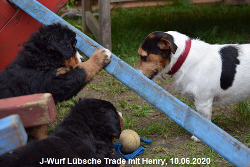 J-Wurf Lbsche Trade mit Henry, 10.06.2020