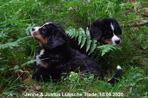Jenne & Justus Lbsche Trade, 15.06.2020