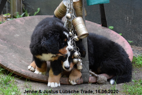 Jenne & Justus Lbsche Trade, 16.06.2020