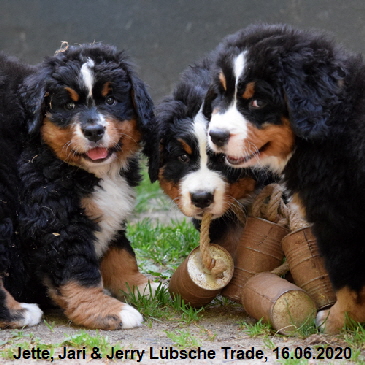 Jette, Jari & Jerry Lbsche Trade, 16.06.2020