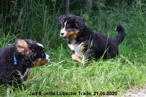 Jari & Jelda Lbsche Trade, 21.06.2020