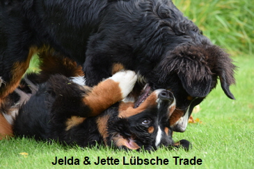 Jelda & Jette Lübsche Trade