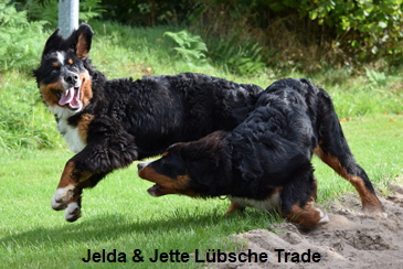 Jelda & Jette Lübsche Trade