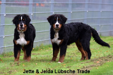 Jette & Jelda Lübsche Trade