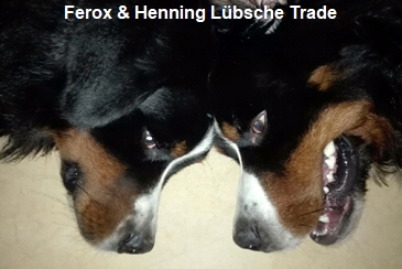 Ferox & Henning Lübsche Trade