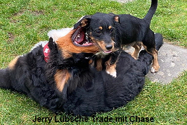 Jerry Lübsche Trade mit Chase