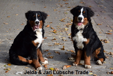 Jelda & Jari Lübsche Trade