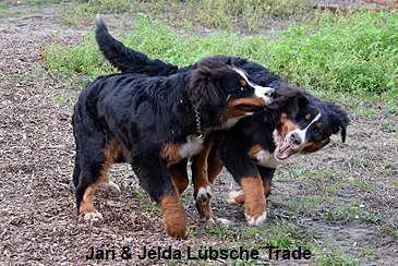 Jari & Jelda Lübsche Trade