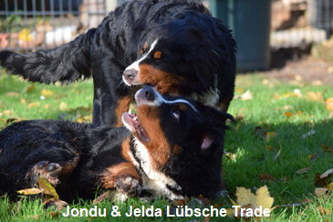 Jondu & Jelda Lbsche Trade