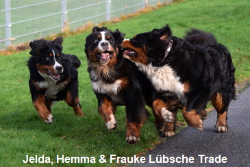 Jelda, Hemma & Frauke Lbsche Trade
