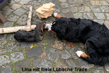 Lina mit Ibele Lbsche Trade