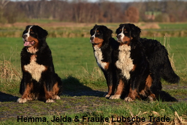 Hemma, Jelda & Frauke Lbsche Trade