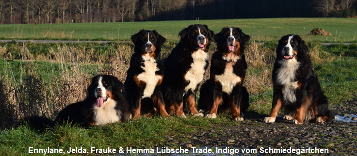 Ennylane, Jelda, Frauke & Hemma Lbsche Trade, Indigo vom Schmiedegrtchen