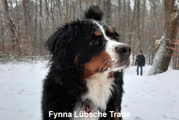 Fynna Lbsche Trade