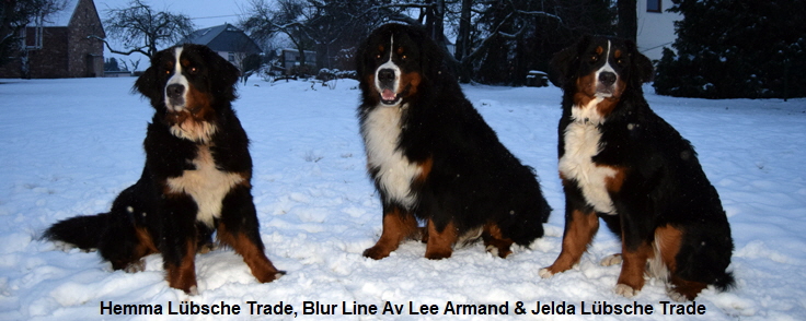 Hemma Lbsche Trade, Blur Line Av Lee Armand & Jelda Lbsche Trade