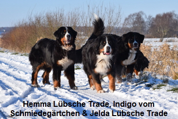 Hemma Lbsche Trade, Indigo vom Schmiedegrtchen & Jelda Lbsche Trade