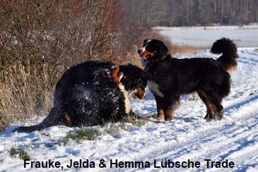 Frauke, Jelda & Hemma Lbsche Trade