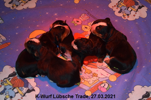 K-Wurf Lbsche Trade, 27.03.2021