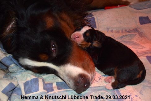 Hemma & Knutschi Lbsche Trade, 29.03.2021