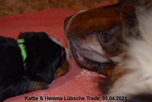 Kattie & Hemma Lbsche Trade, 05.04.2021
