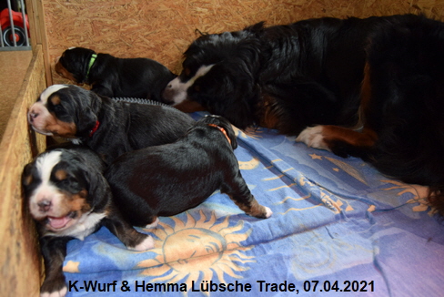 K-Wurf & Hemma Lbsche Trade, 07.04.2021