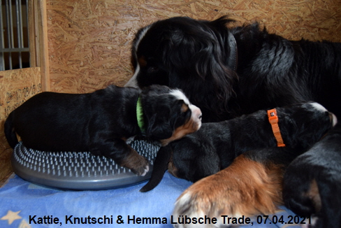 Kattie, Knutschi & Hemma Lbsche Trade, 07.04.2021