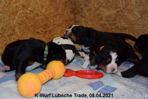 K-Wurf Lbsche Trade, 08.04.2021