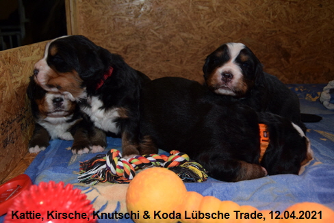 Kattie, Kirsche, Knutschi & Koda Lbsche Trade, 12.04.2021