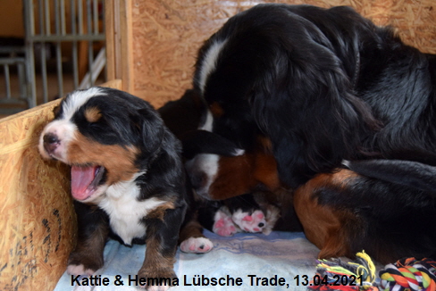 Kattie & Hemma Lbsche Trade, 13.04.2021