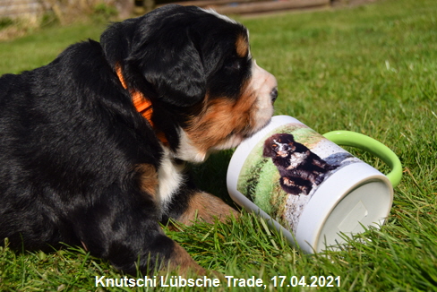 Knutschi Lbsche Trade, 17.04.2021