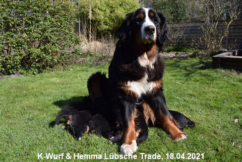 K-Wurf & Hemma Lbsche Trade, 18.04.2021