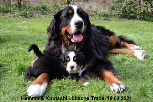 Hemma & Knutschi Lbsche Trade, 18.04.2021