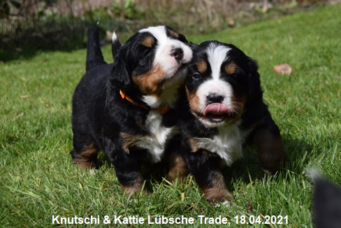 Knutschi & Kattie Lbsche Trade, 18.04.2021