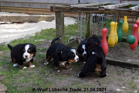 K-Wurf Lbsche Trade, 21.04.2021
