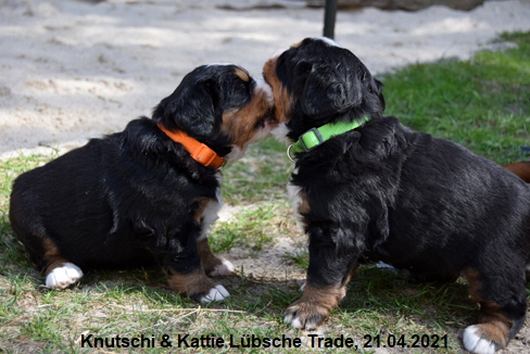 Knutschi & Kattie Lbsche Trade, 21.04.2021