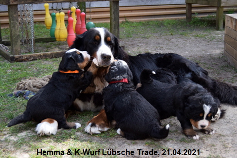 Hemma & K-Wurf Lbsche Trade, 21.04.2021