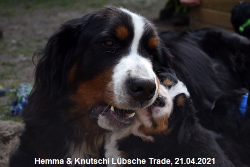 Hemma & Knutschi Lbsche Trade, 21.04.2021