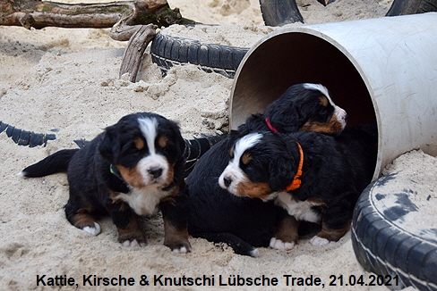 Kattie, Kirsche & Knutschi Lbsche Trade, 21.04.2021