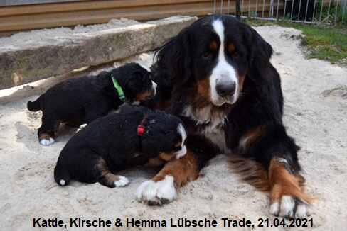 Kattie, Kirsche & Hemma Lbsche Trade, 21.04.2021