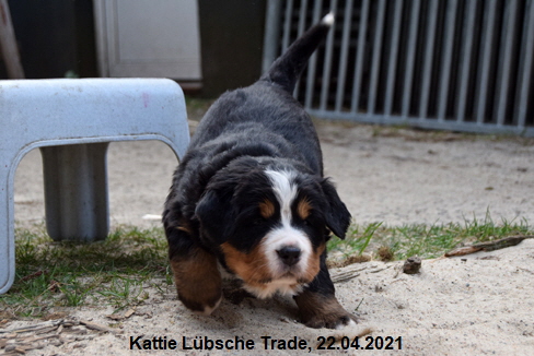 Kattie Lbsche Trade, 22.04.2021