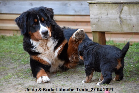 Jelda & Koda Lbsche Trade, 27.04.2021