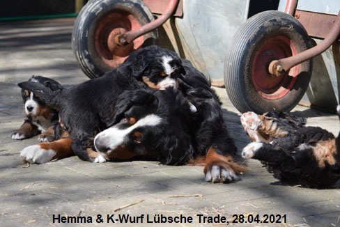 Hemma & K-Wurf Lbsche Trade, 28.04.2021
