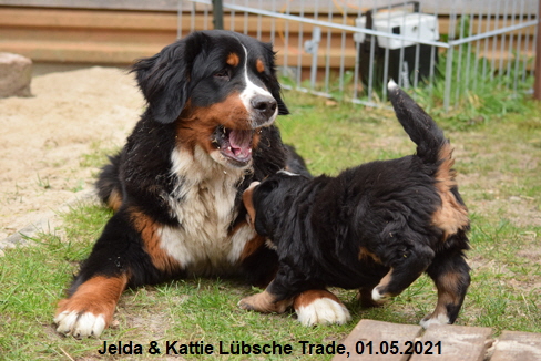 Jelda & Kattie Lbsche Trade, 01.05.2021
