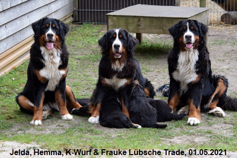 Jelda, Hemma, K-Wurf & Frauke Lbsche Trade, 01.05.2021