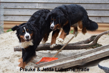Frauke & Jelda Lbsche Trade
