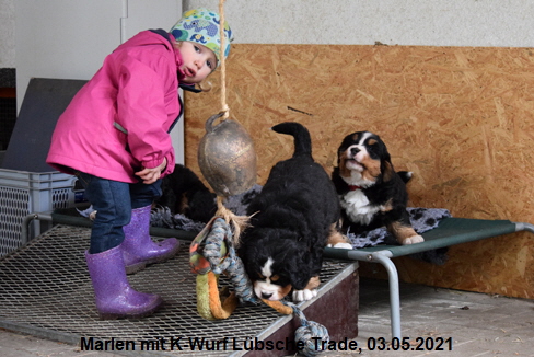 Marlen mit K-Wurf Lbsche Trade, 03.05.2021