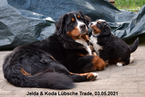 Jelda & Koda Lbsche Trade, 03.05.2021