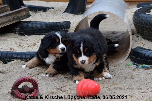 Kattie & Kirsche Lbsche Trade, 06.05.2021