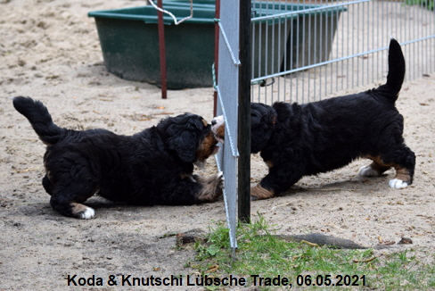 Koda & Knutschi Lbsche Trade, 06.05.2021