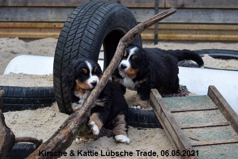 Kirsche & Kattie Lbsche Trade, 06.05.2021